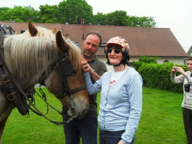 paarden aaien begeleide vakanties voor mensen met beperking