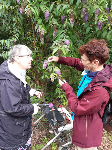 tot rust komen genieten met begeleiders