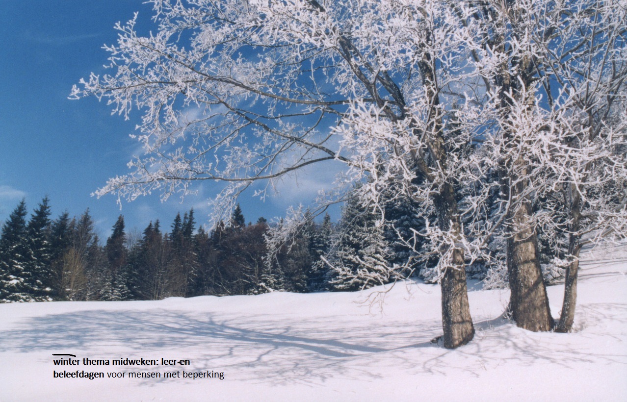 winterlandschap begeleide vakanties bij Metgezel
