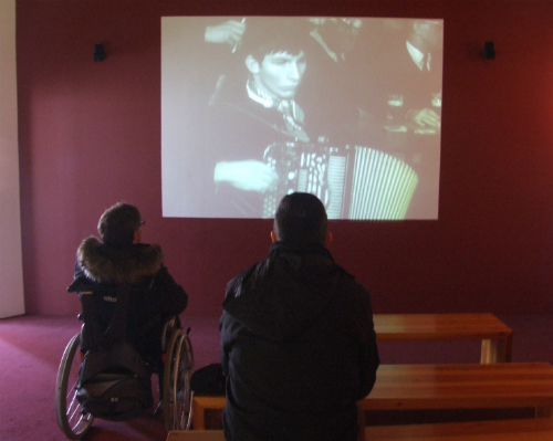 muziek museum vzw Metgezel voor mensen met verstandelijke beperking